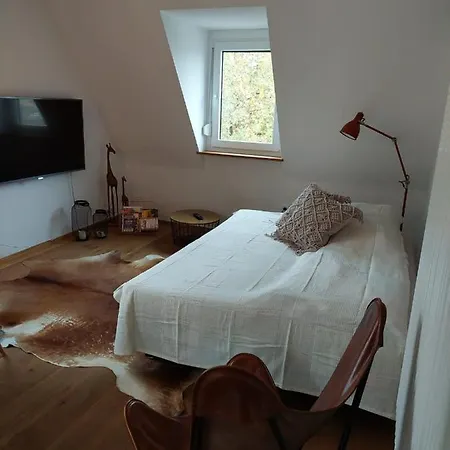 Stilvolle Direkt In Der Apartment Wurzburg