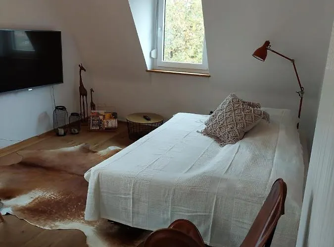 Stilvolle Direkt In Der Appartement Würzburg
