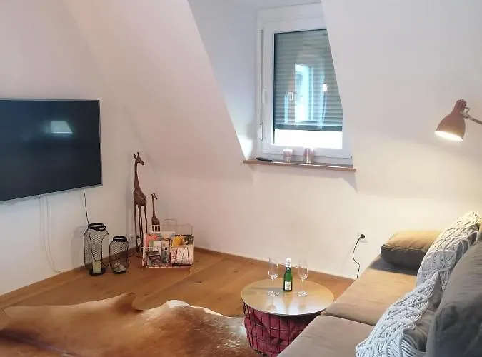 Stilvolle Direkt In Der Appartement *
